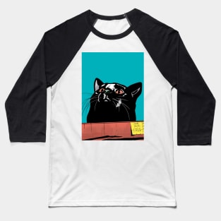 Fat Cat in a Box Baseball T-Shirt